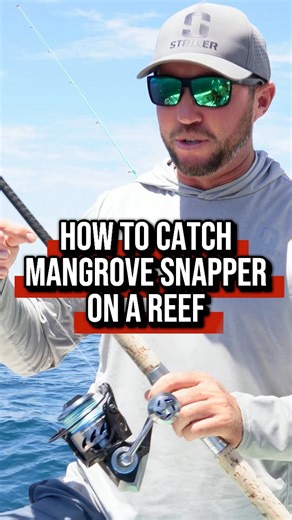 Keep it simple — shrimp, chum, and chaos in the slick. 💥 | Randall Shaw