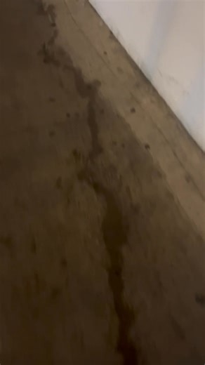 Michelle Lynne Ryan on Reels