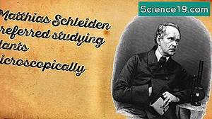 Matthias Schleiden'in Mikrobiyolojiye Katkısı Neydi? 💫 Bilimsel Ve Popüler Multimedya Portalı. 2025