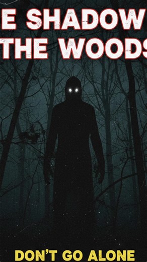 "The Shadow in the Woods"unsold Mistry