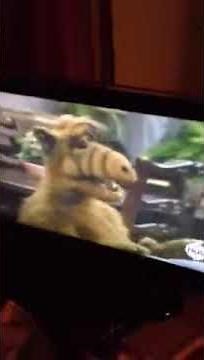 ALF Alien Hiccup
