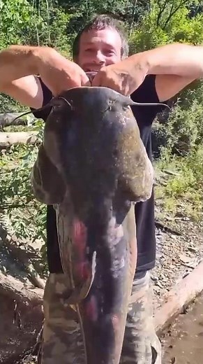 The ULTIMATE Rod for Big Cats | UGLY STIK GX2
