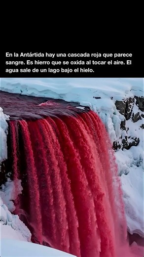 Cascada de Sangre en la Antártida 🩸