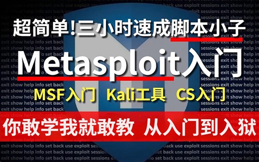 【网络安全】3小时脚本小子速成，Metasploit教程讲解，kali渗透工具精讲 ，Cobaltstrike教程，手把手带你入门到入狱，零基础入门渗透测试