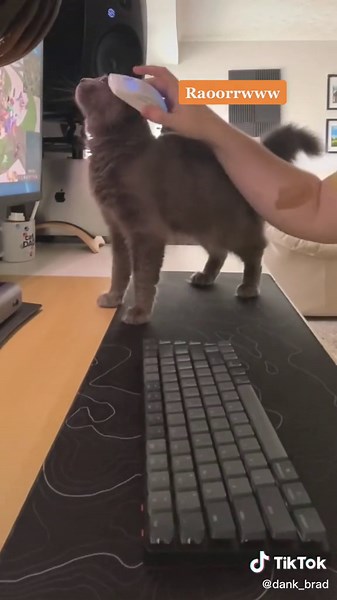 Roccat Burst Pro Air: The Best Wireless Gaming Mouse