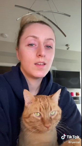 Cat Toothpaste vs. Human Toothpaste: Understanding the Difference