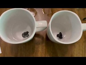 Decibullz - Custom Molded Earplugs HOW TO