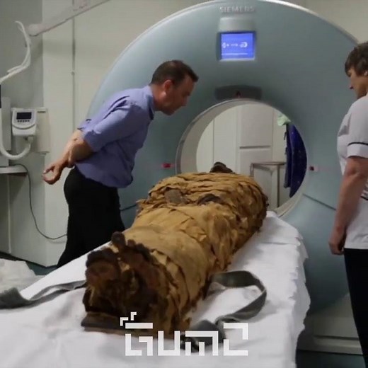 It Does Sounds like Minecraft Villager - Mummy Sound Meme