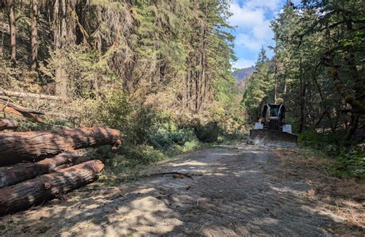 Private contractors and their speed, expertise play key role in helping Oregon Dept. of Forestry battle wildfires