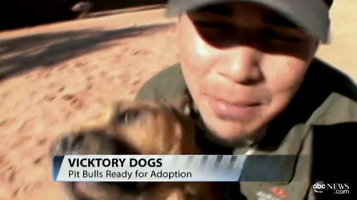 Michael Vick's Dogs: 5 Years Later