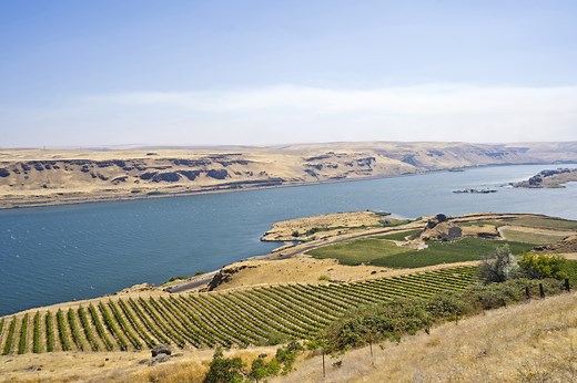 Columbia Valley Wine Region: What To Know