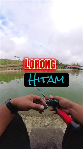 Exploring Soft Plastic Lures for Saltwater Fishing