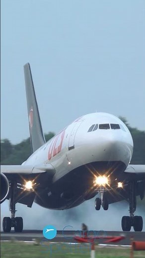 AIRBUS A310 Landing