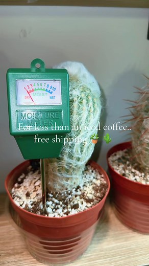 Essential Plant Watering Tips with Hygrometers