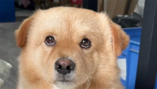 我再也不相信我妈妈了