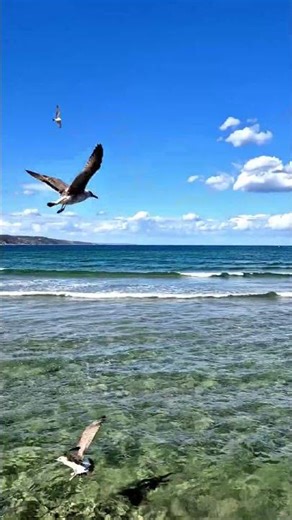 Why Disbelief Is a Hellish Torment on Earth