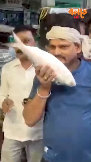 1.1M views · 9.2K reactions | বাংলাদেশ থেকে ইলিশ ওকলকাতার ক্রেতারা এখন হাঁপাচ্ছেন দামের চাপে | বলতে চাই | Facebook