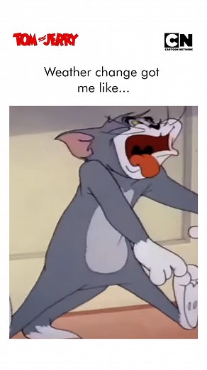 BRB, admin has a bad flue. please be nice. ​ #cartoonnetworkindia #tomandjerry | Cartoon Network