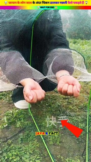 जापान के लोग जाल के अंदर चिकन डालकर मछली कैसे पकड़ते हैं 😍AMAZING KEY Wait For End 🤯 | #reels #shorts #shortsreels #viral #viralreels #trending #trendingreels #instagood #instagramreels #instagram #igreels #instagramreels #reelsinstagram #instagram #reelsinstagram #reelsviral #videocreator #trending #trendingreels #viralinstagram #crafting #crafting #crafts #handcraft #skills #lifehacks #5minutecrafts | JAVA K FACT