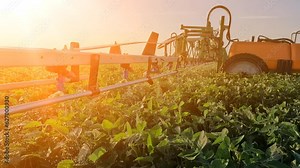 Crop sprayer spraying pesticide on a soybean field at sunset, tractor and crop sprayer protection plants to increase crop yield, slow motion Stock Video