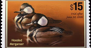 Hunting theme no longer mandatory in US duck stamp contest