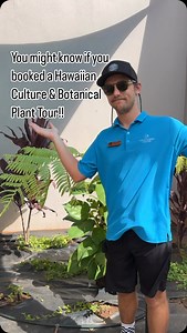 1.2K views | What does a Hāpu’u Tree Fern  and a Giant Grouper have...