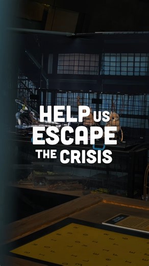 The Biodiversity Crisis Escape Room is back at The Mind Museum! 🧩🌿 Experience an escape room that tells a powerful story of how biodiversity is being threatened on land, in water, and in the air. Gather your teammates, solve challenging puzzles, and work together to find ways to escape the crisis. 👥 Group of 2–3: ₱200 per person 👥 Group of 4–10: ₱150 per person 🎟️ Get your tickets at bit.ly/TMMTicket and choose the room you want to solve. #BCER #TheMindMuseum #BiodiversityCrisisER | The Min