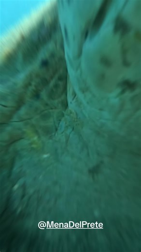 #snorkeling #sea #egypt #travel #summer #nature #redsea #underwater #gopro #diving #beach #dugongo #underwaterphotography #scubadiving #mare #ocean #seavotamin #fish #love #picoftheday #photography #scuba #photooftheday #dive #freediving #sealife #holiday #diver #sun #marsaalam