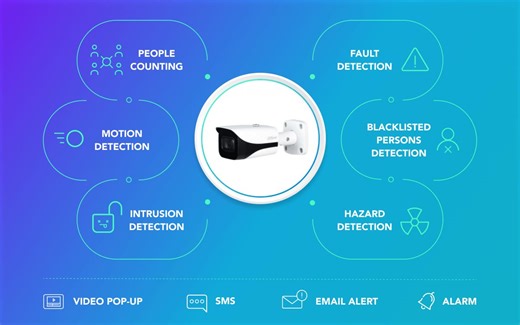 数字人-王大力精讲: 视频分析 VideoAnalytics