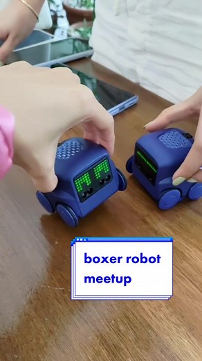 Boxer Robot Meetup and Unboxing - Tech Review