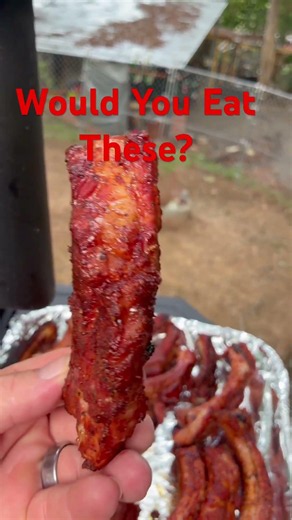 Smoked Pork Ribs on a Pit Boss Pellet Smoker | Tender BBQ Ribs