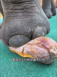 631K views · 3.2K reactions | màn trình diễn ấn tượng | Gait Ictl Computer | Facebook