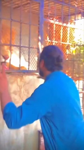 274K views · 2.2K reactions | Get SIM Only Deal From R299 Per month unlimited Data or WIFI deals at R299 Click here https://www.webafrica.co.za/aff.php?aff=487019 enter address select LTE > SIM only / SIM + Free Router / SIM + Router! Select the package then re-order hurry while stock last unlimited Fiber Deals From R429 Independent on location | DAILY LOTTO ZA | Facebook