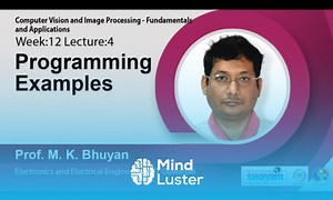 Mind Luster - Learn Lec 41 Programming Examples