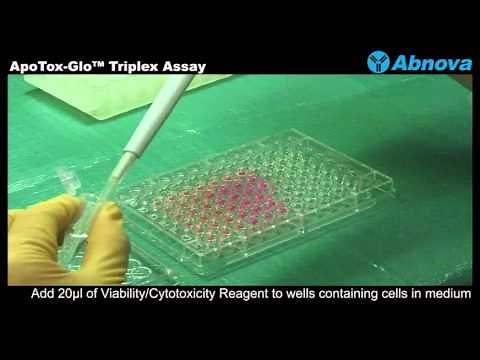ApoTox-Glo™ Triplex Assay