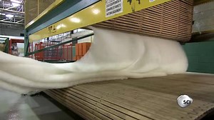Here's how giant piles of fluff become pillows. Thanks to the Science Channel for sharing. | Insider