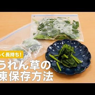 おいしく長持ち！ ほうれん草の冷凍保存方法