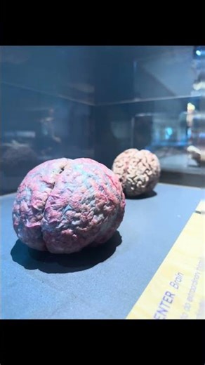 Tech Museum Field Trip (San Jose, Ca)