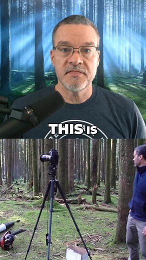 Capturing Mystical Fog in Forest Photography