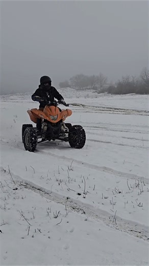 Suzuki quadzilla 500