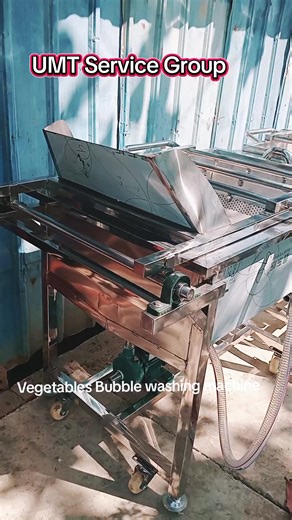 Vegetables Bubble Washing Machine Specifications