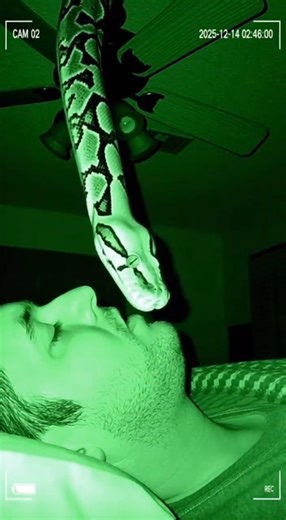 NIGHTMARE ON CCTV: Giant Python Dangles Over Sleeping Man! 😱🐍 (CGI 3D)