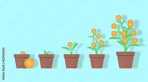 money tree investment money tree dollar coin animation growth money investment