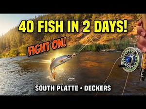 40 Fish in 2 Days on the South Platte! Epic Fly Fishing Deckers, CO (July 3rd & 5th)
