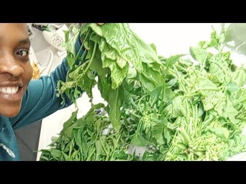 join me in the kitchen let's prepare Spanish vegetable soup 🍲