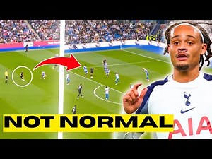 What We Learnt From Brighton 2-2 Tottenham...