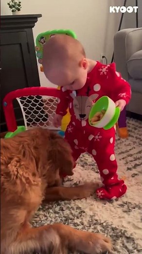 Are all vacuums this cute? 🐕 #dogs #baby #funny #parenting #shorts