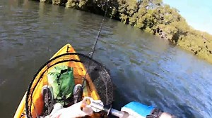 1.6K views · 36 reactions | The Ned Rig is a dynamite soft plastics...