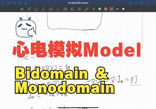 【电生理学】心电模拟中的Bidomain和Monodomain模型