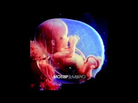 MoTrip - Embryo